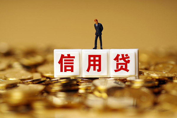 上海空放个人贷款额